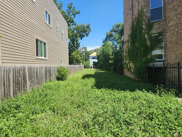 a view of a back yard with plants