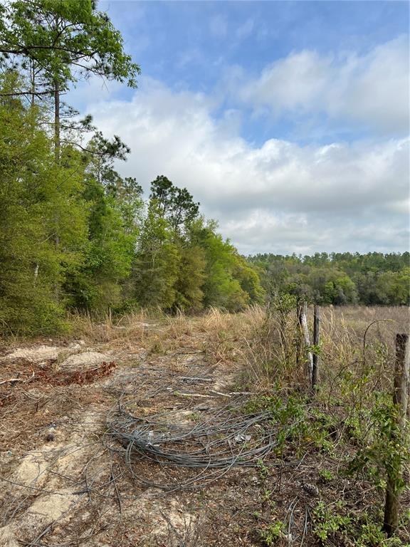 4625 West Kelly Park Road Apopka, FL 32712 - Photo 13 of 13 a view of lake with green space