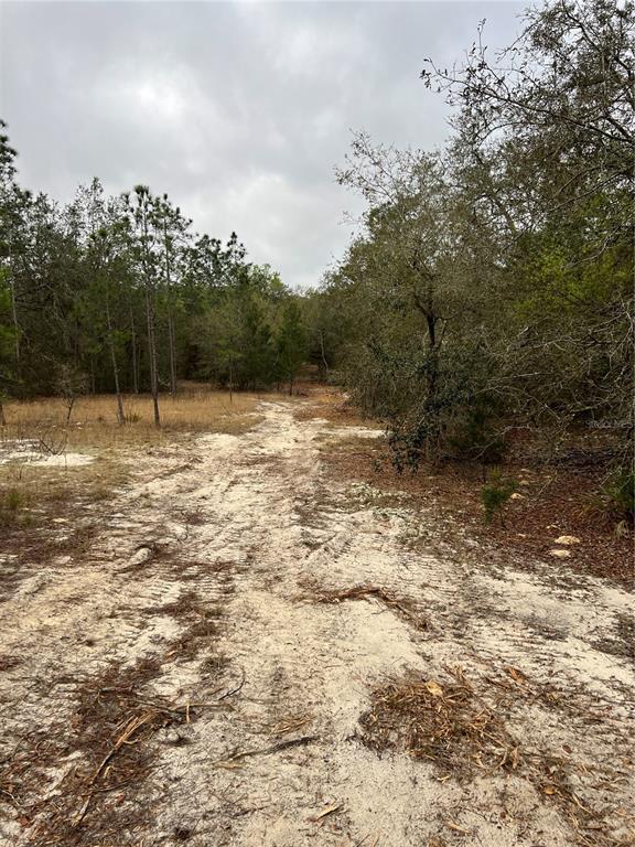 4625 West Kelly Park Road Apopka, FL 32712 - Photo 3 of 13 a view of outdoor space with water view
