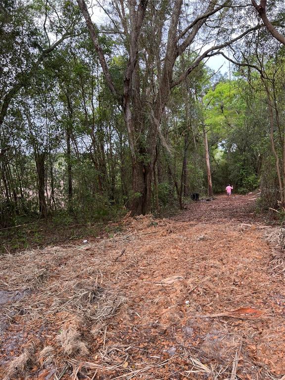 4625 West Kelly Park Road Apopka, FL 32712 - Photo 10 of 13 a backyard of a house with lots of green space