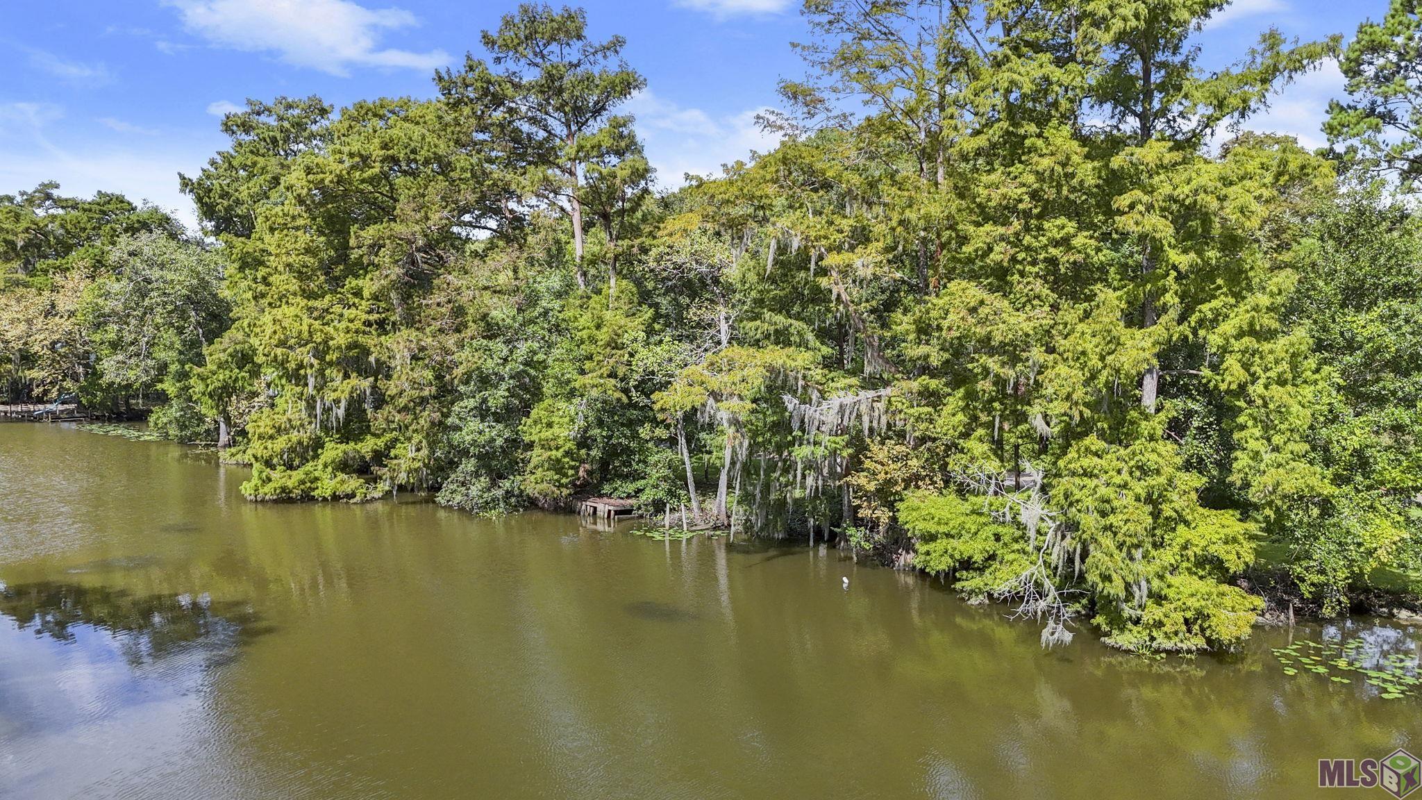 Lot 44 La Trace Road Livingston, LA 70754 - Photo 12 of 15 Gallery Image 12