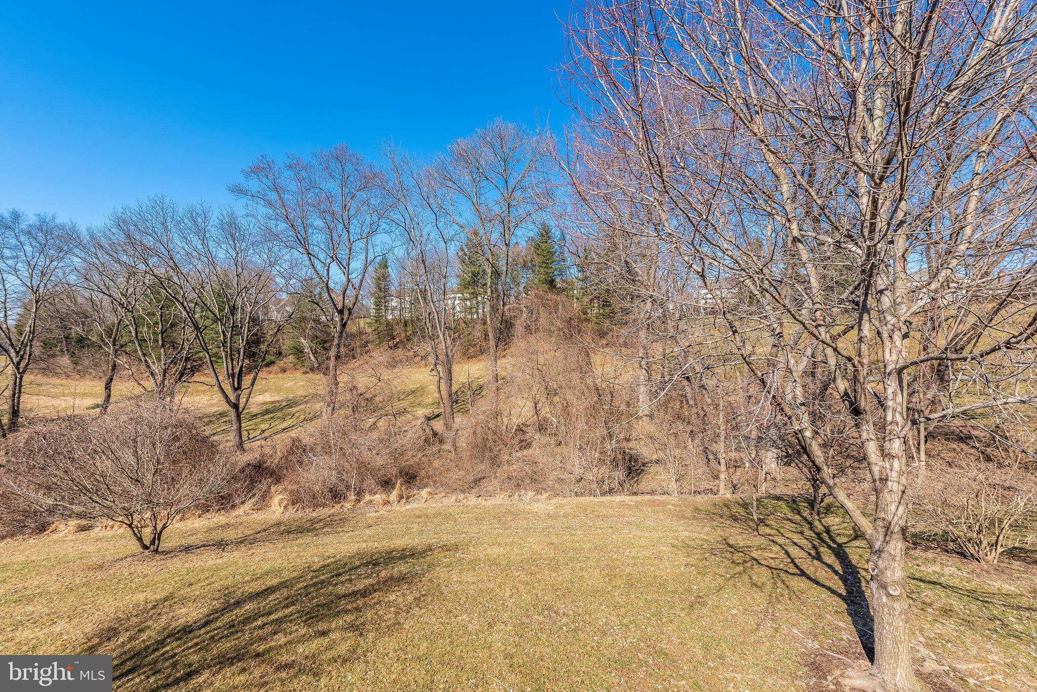 11237 Country Club Road New Market, MD 21774 - Photo 40 of 48 Backs to Trees