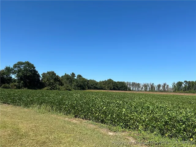 a view of grassy field with trees