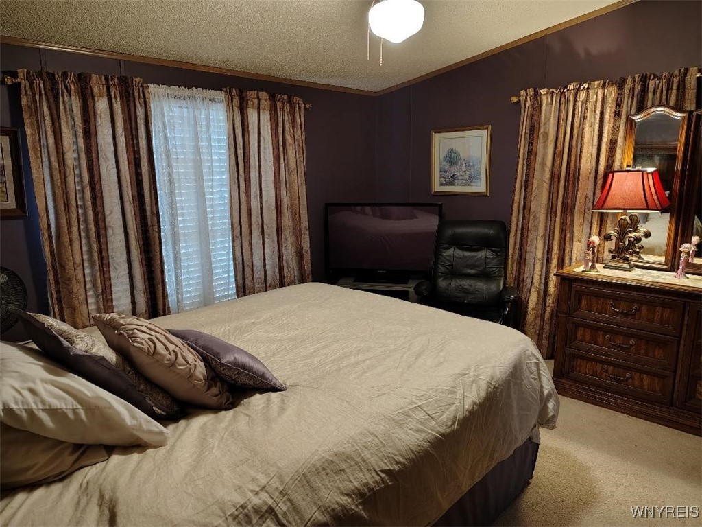 1186 Vinewood Drive Lockport Town, NY 14094 - Photo 12 of 23 Primary bedroom has large walk-in closet