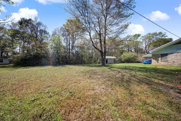 a view of a backyard with large trees