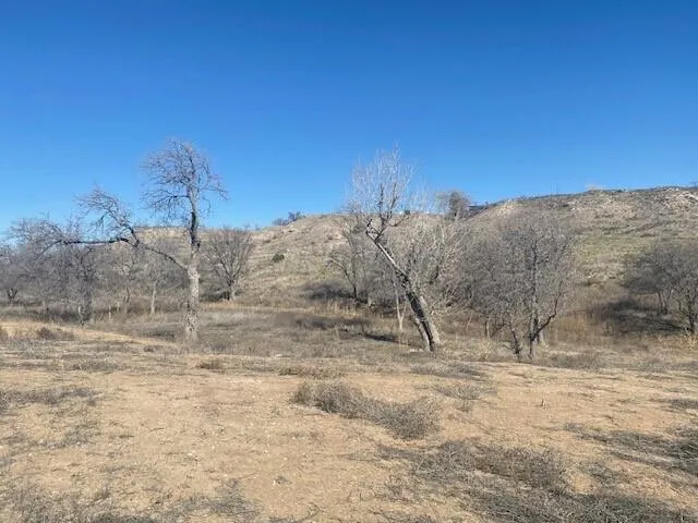 a view of a dry yard with trees