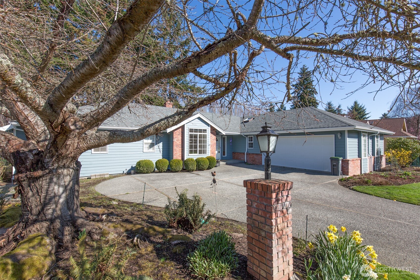 170 Hurricane Ridge Drive Sequim, WA 98382 - Photo 3 of 39 a front view of a house with a yard and potted plants