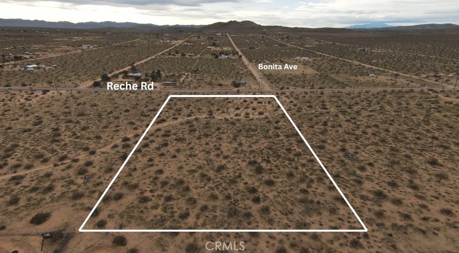 59520 Reche Road Landers, CA 92285 - Photo 4 of 11 a view of a yard
