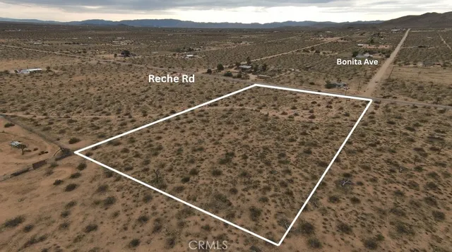 a view of a yard with an ocean