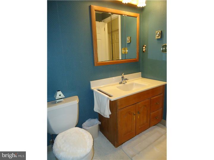 2207 Herb Road Temple, PA 19560 - Photo 15 of 25 Bathroom