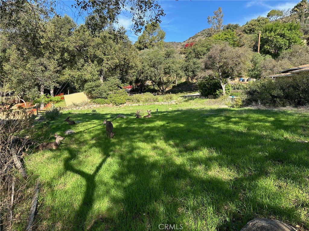 976 Ridgeside Drive Monrovia, CA 91016 - Photo 8 of 10