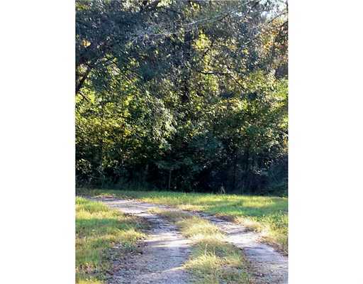 21224 Trails End Road Moss Point, MS 39562 - Photo 7 of 23 Additional Photo