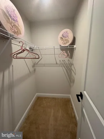 a view of house with a yard