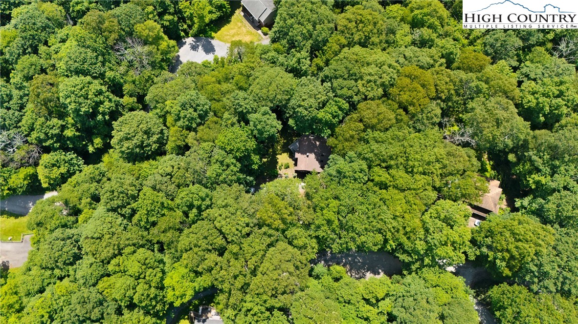 216 Cane Road Boone, NC 28607 - Photo 45 of 46