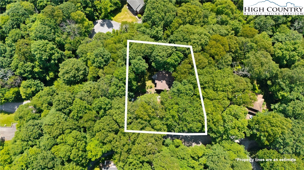 216 Cane Road Boone, NC 28607 - Photo 46 of 46