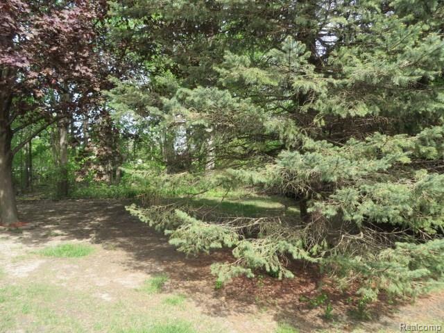 51182 South Foster Road Chesterfield, MI 48047 - Photo 35 of 42