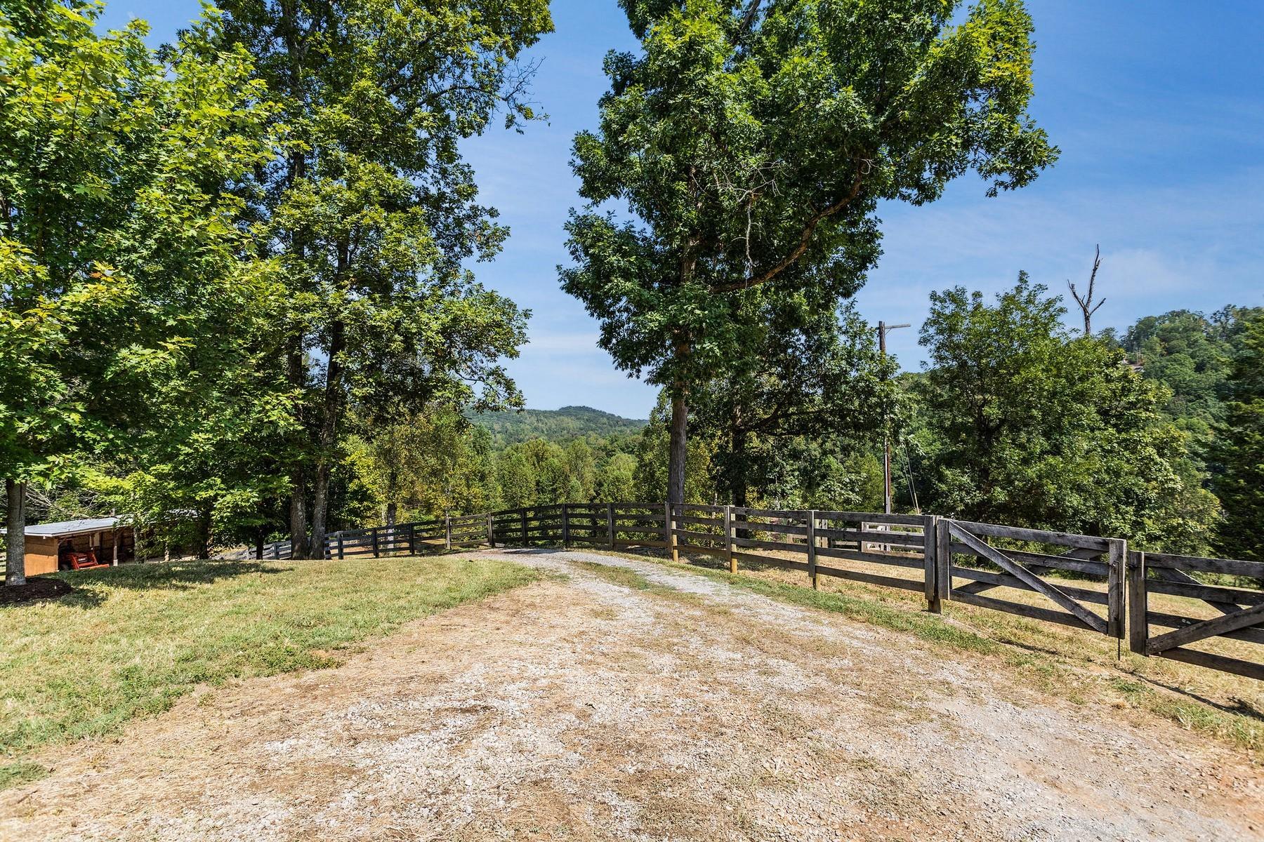 8519 Neubert Springs Road Knoxville, TN 37920 - Photo 12 of 22 11_85196428