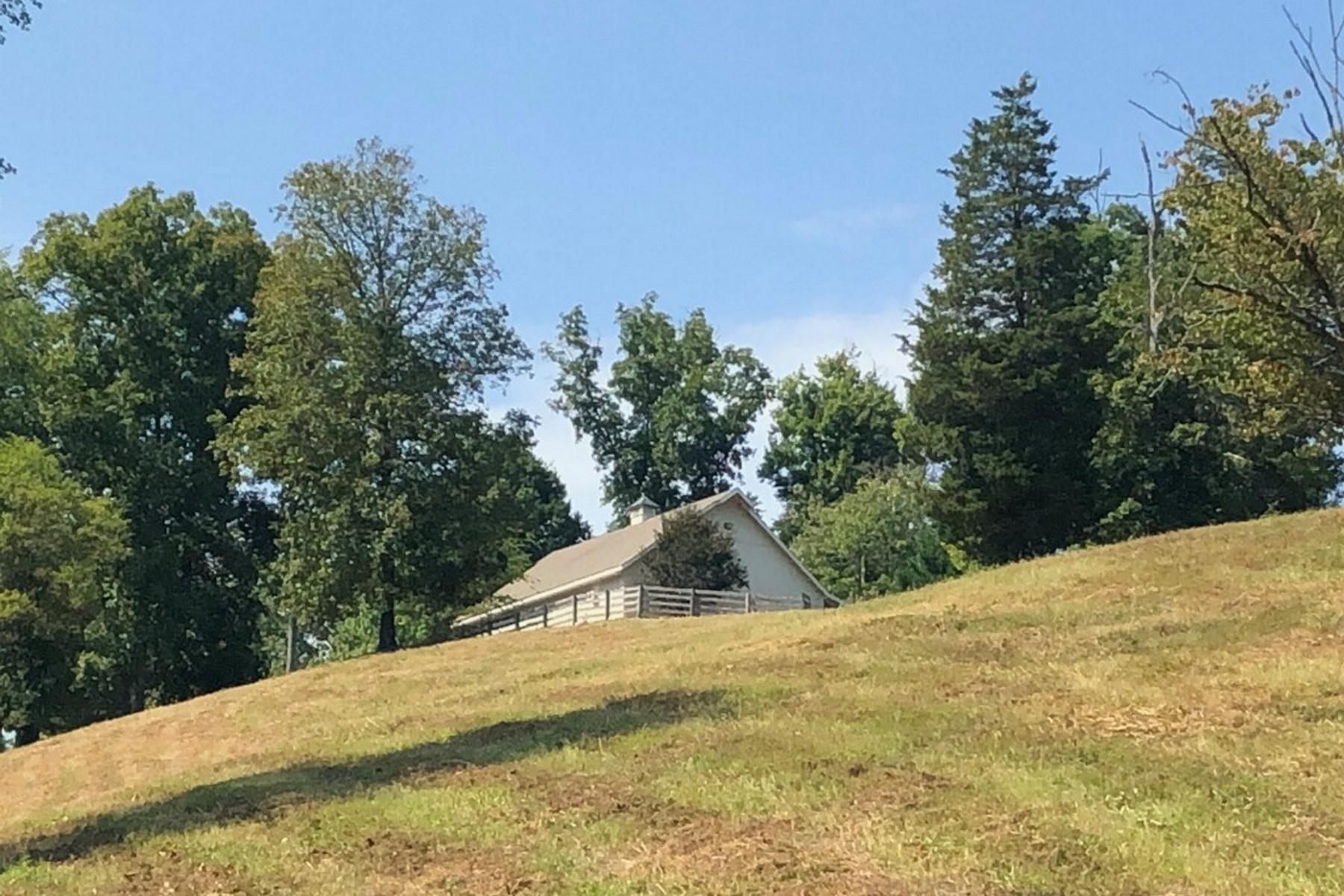 8519 Neubert Springs Road Knoxville, TN 37920 - Photo 14 of 22 13_imagejpeg_0002