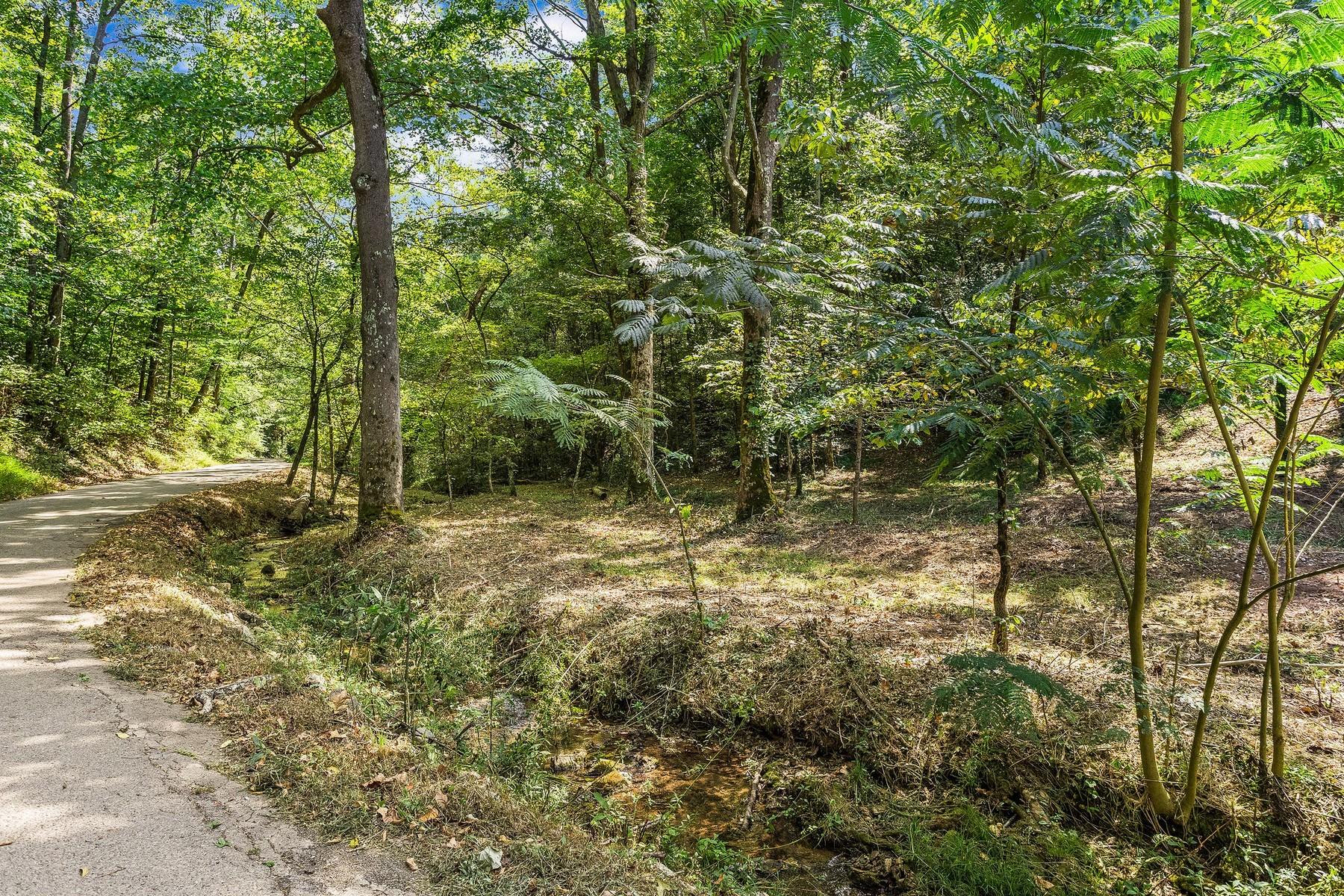 8519 Neubert Springs Road Knoxville, TN 37920 - Photo 16 of 22 15_85196448