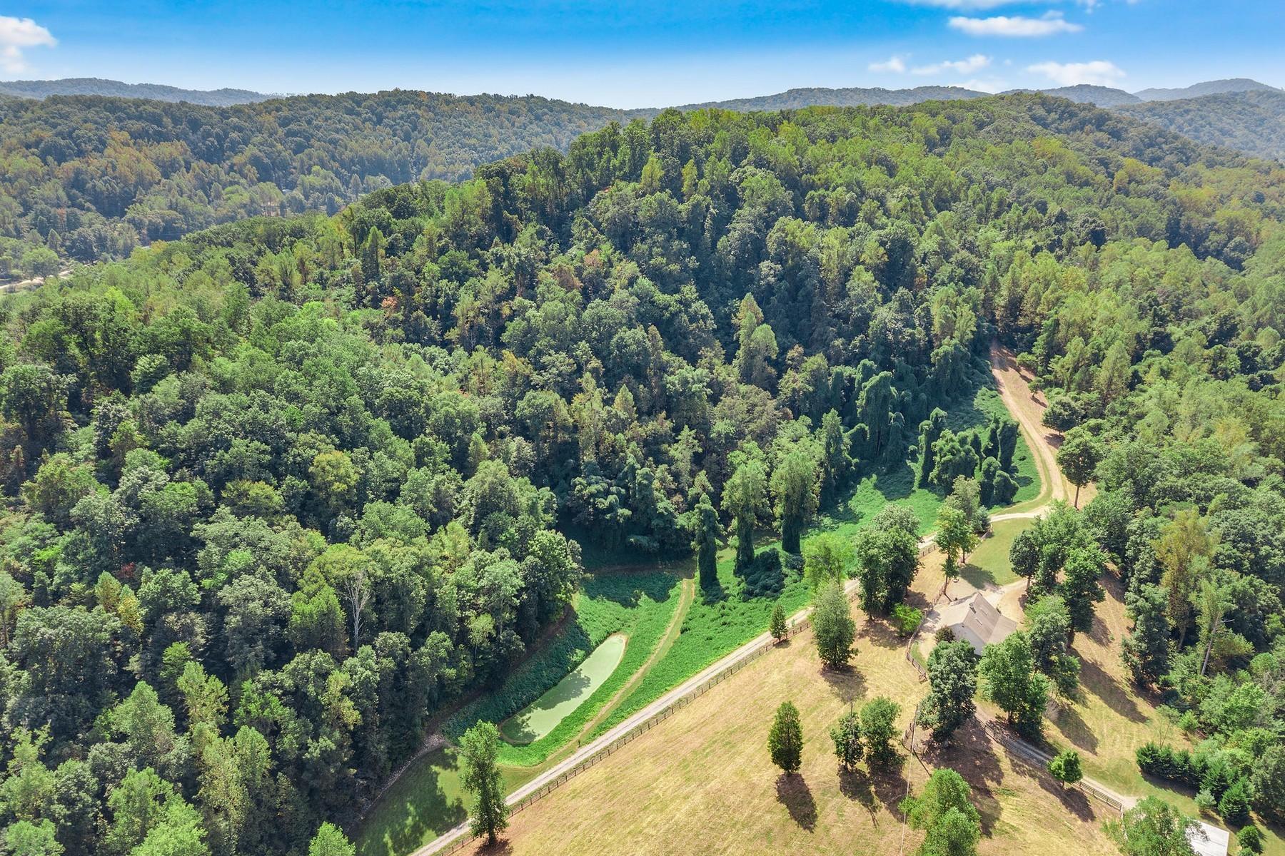 8519 Neubert Springs Road Knoxville, TN 37920 - Photo 18 of 22 17_dji-0113