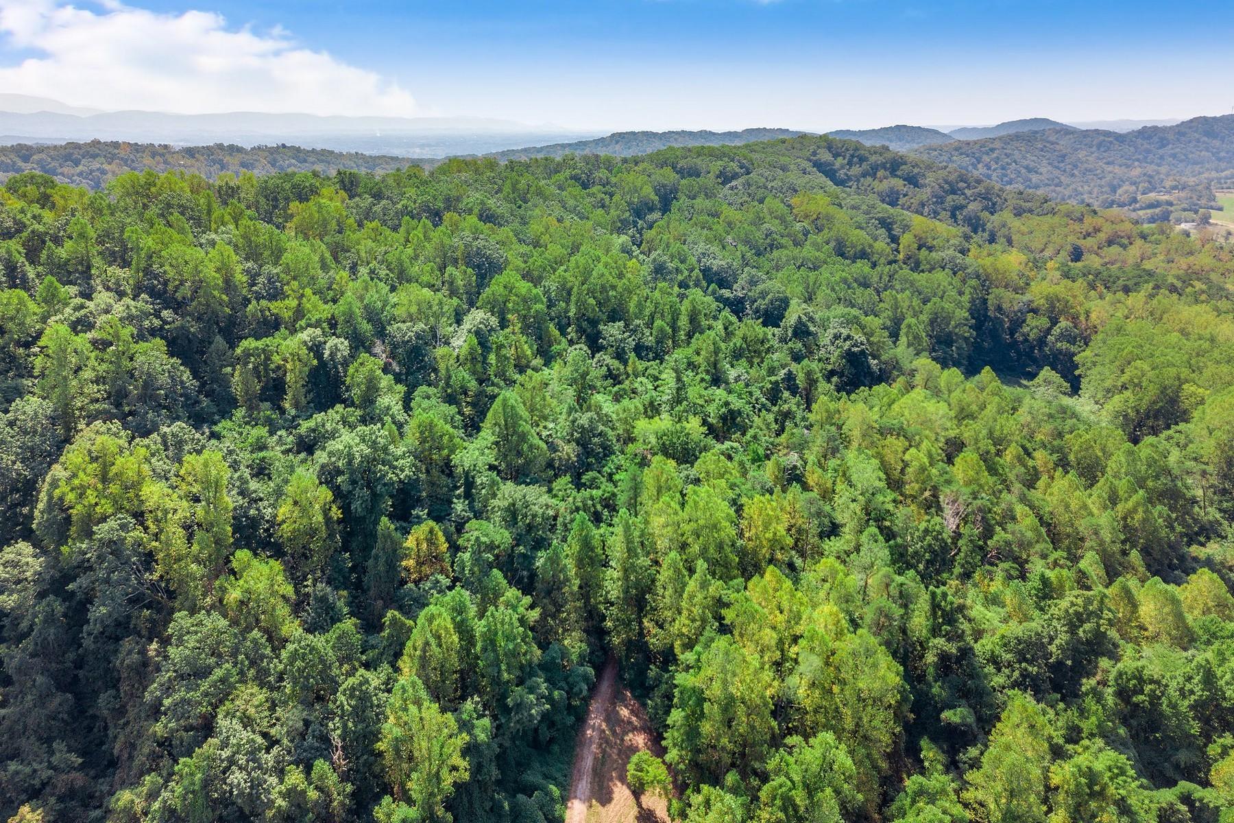 8519 Neubert Springs Road Knoxville, TN 37920 - Photo 21 of 22 20_dji-0108