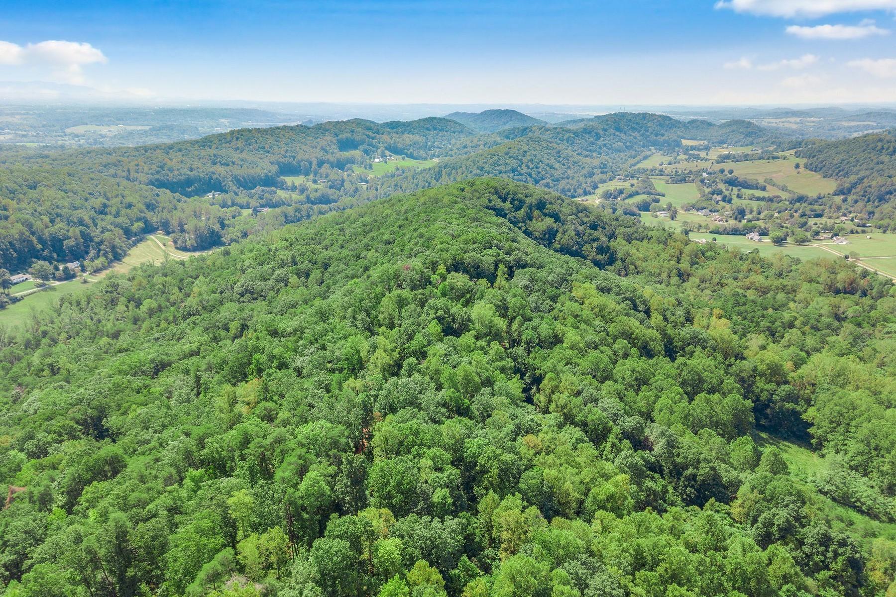 8519 Neubert Springs Road Knoxville, TN 37920 - Photo 22 of 22 21_dji-0118