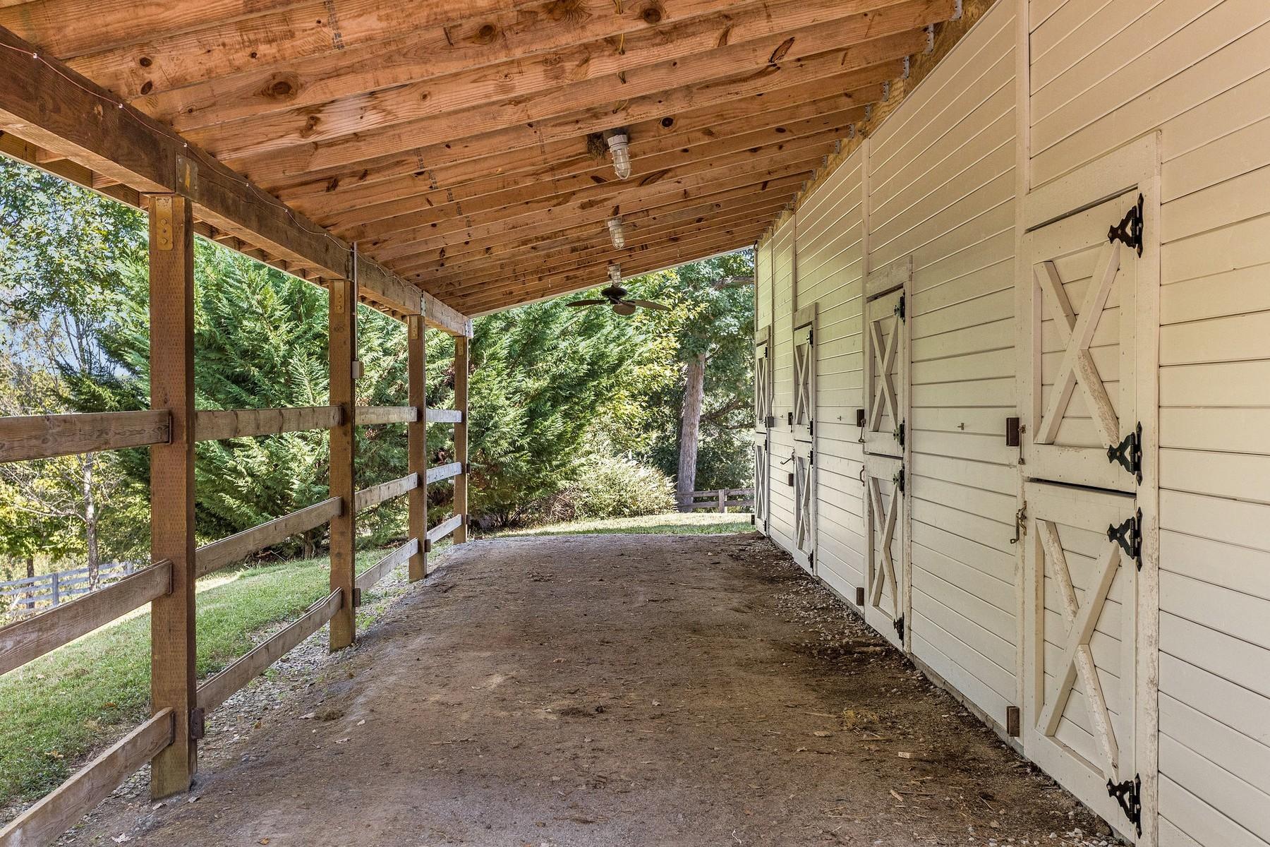 8519 Neubert Springs Road Knoxville, TN 37920 - Photo 6 of 22 5_85196418