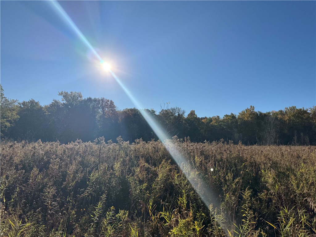 150 Coates Road Chili, NY 14546 - Photo 13 of 16