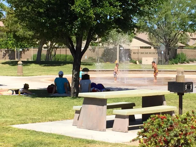 a view of a swimming pool with lawn chairs and plants