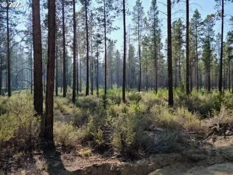 $160,000 | Bitterbrush Ln Crescent, Crescent, OR 97733