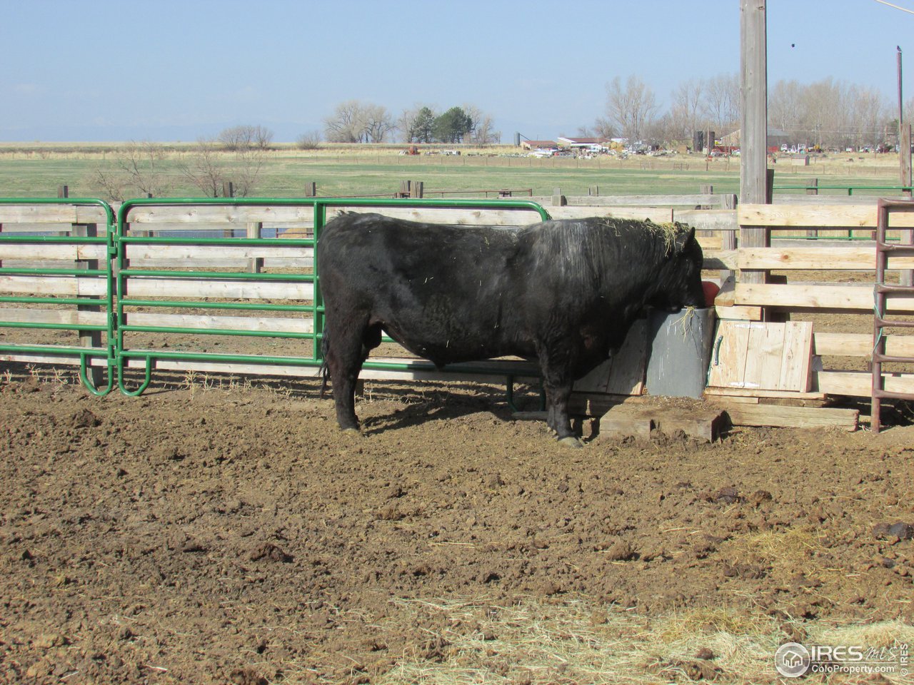 3669 County Road 45 Hudson, CO 80642 - Photo 19 of 25 a view of a backyard with lawn chairs and wooden fence