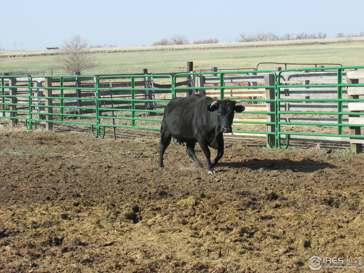 3669 County Road 45 Hudson, CO 80642 - Photo 22 of 25 a view of a lake with beach and ocean view