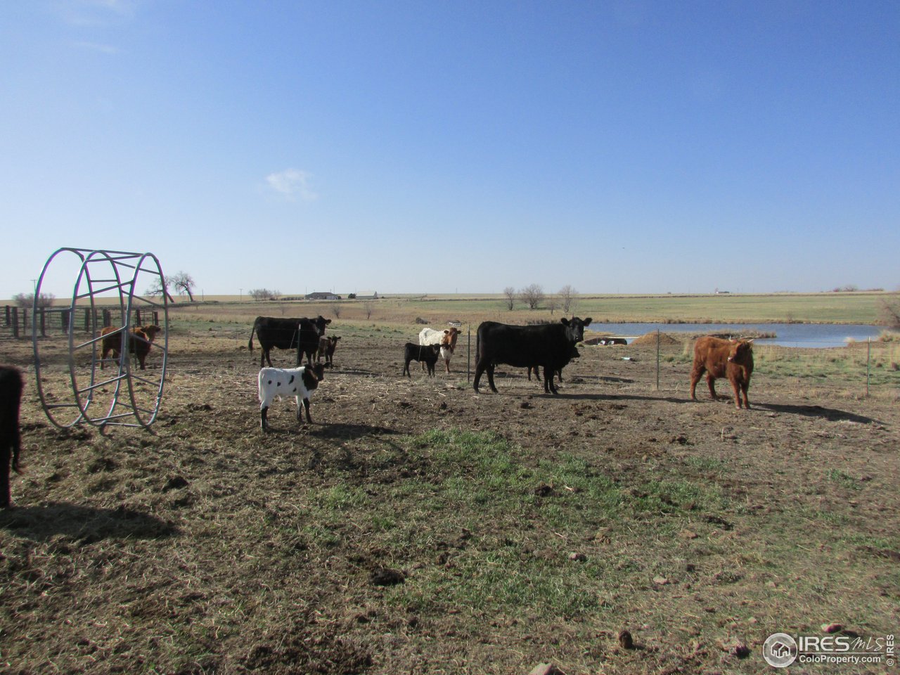 3669 County Road 45 Hudson, CO 80642 - Photo 3 of 25 a view of a terrace view