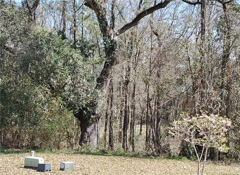 0 Rutherford Drive Covington, LA 70433 - Photo 3 of 11 Gallery Image 3