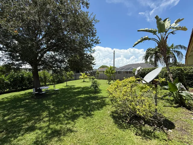 a view of a garden with a tree