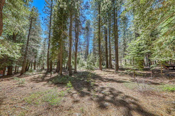 $249,500 | 16859 Northwoods Boulevard, Truckee, CA 96161