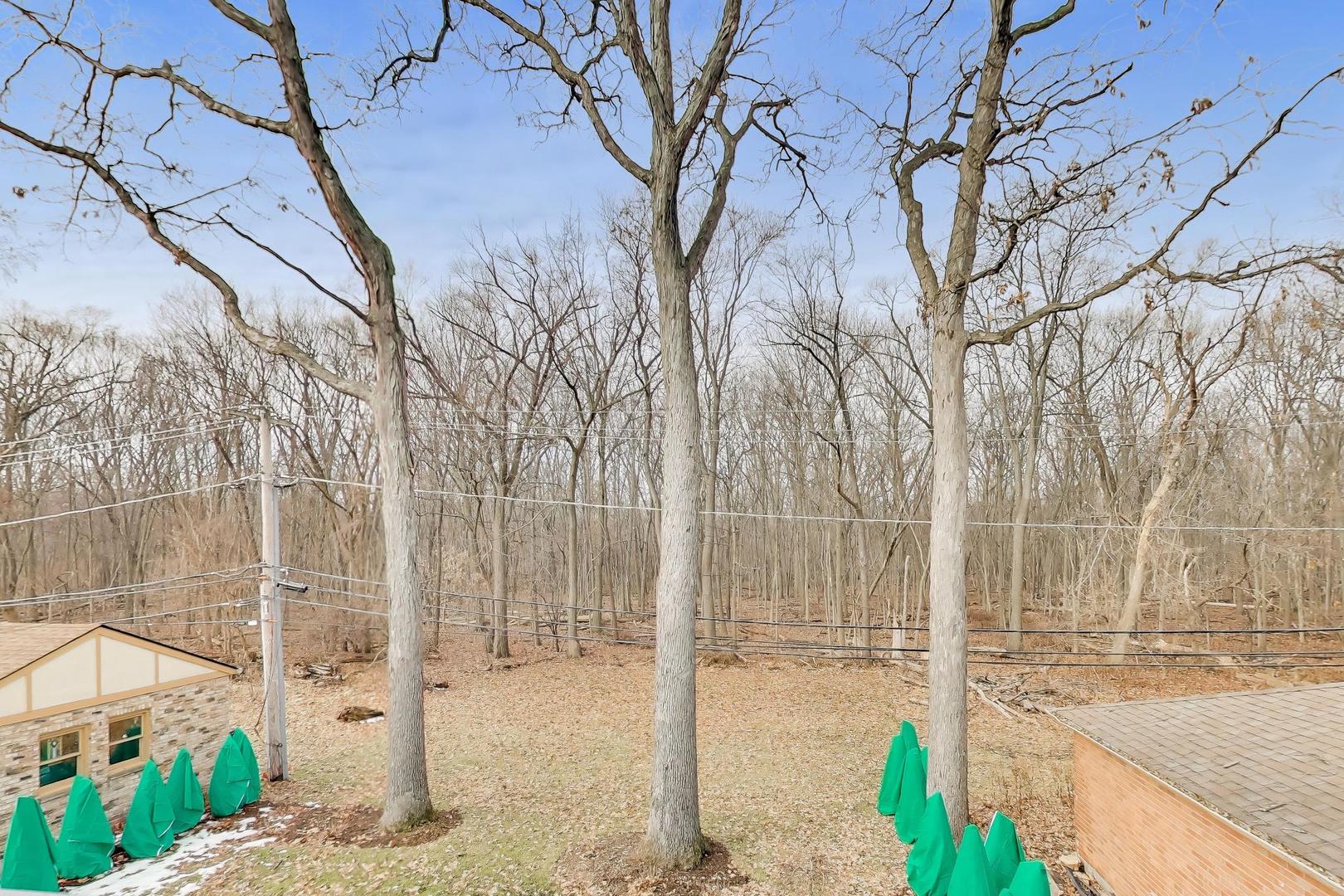 1234 South Western Avenue Park Ridge, IL 60068 - Photo 24 of 40