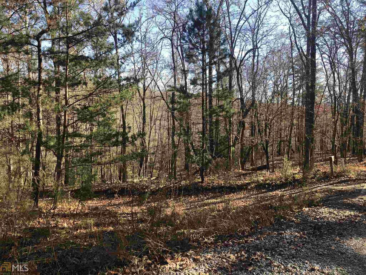 0 Thomas Mountain Road, Unit 14 75 ACRES Morganton, GA 30560 - Photo 1 of 1 Gallery Image 1