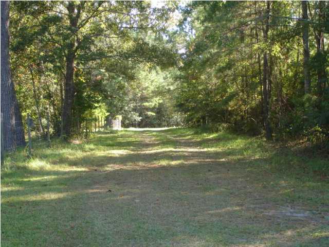 1 Lorrick Road Ravenel, SC 29470 - Photo 1 of 1 Primary Photo