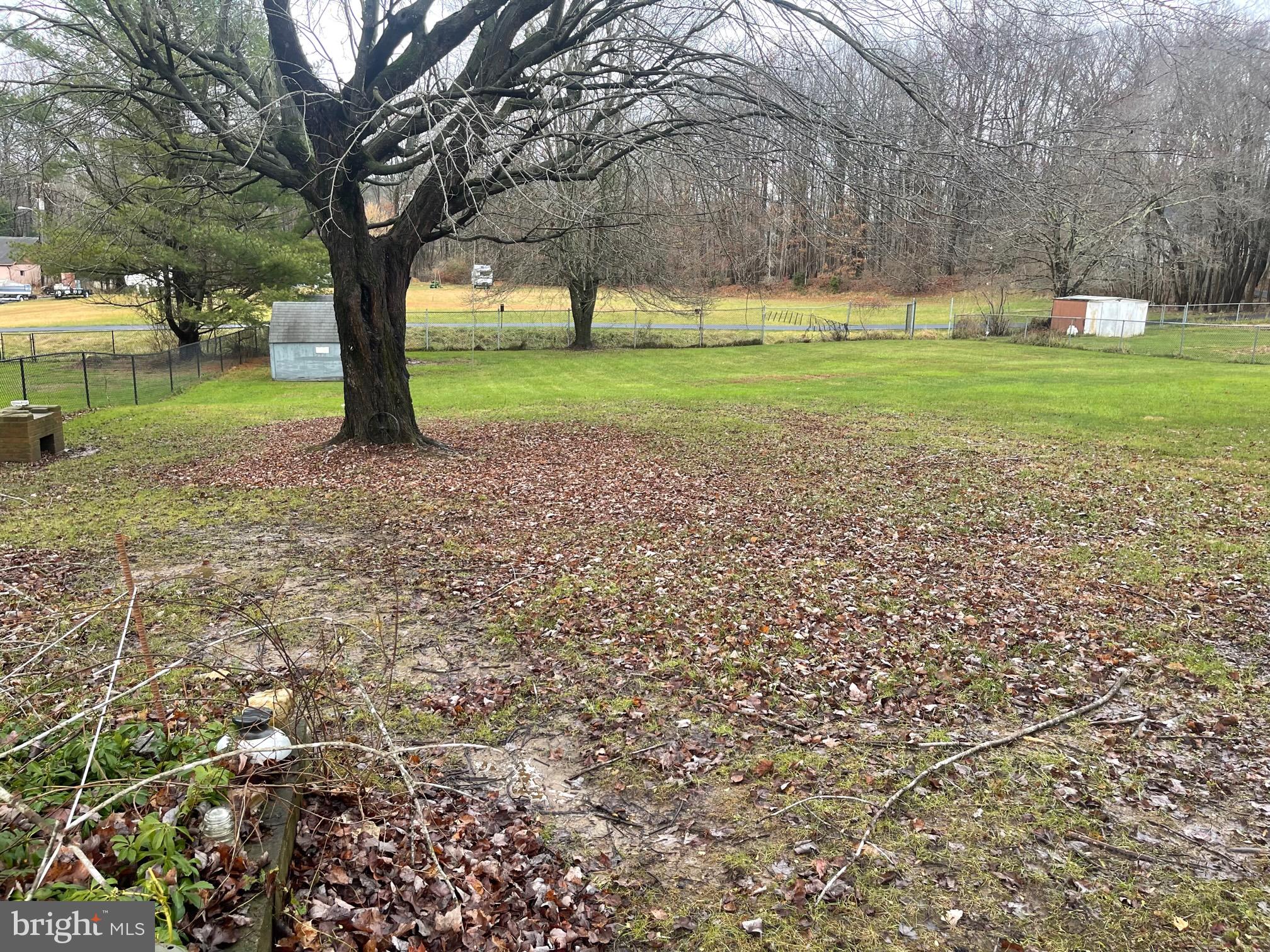 2536 Arthur Avenue Sykesville, MD 21784 - Photo 3 of 6 a view of a yard with a tree