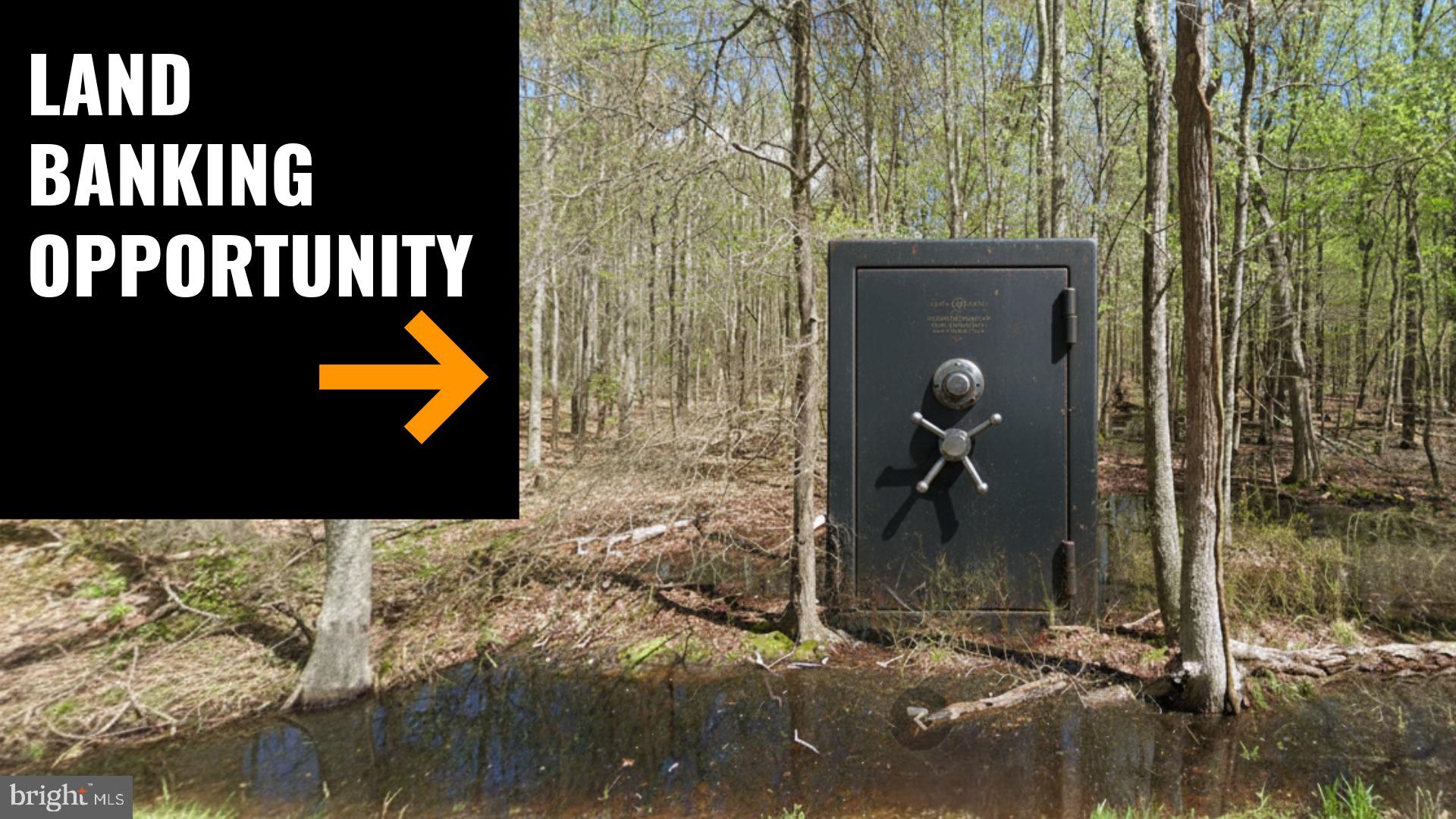 11519 Gunston Rd Way Lorton, VA 22079 - Photo 2 of 8 Concept Image Land Bankning