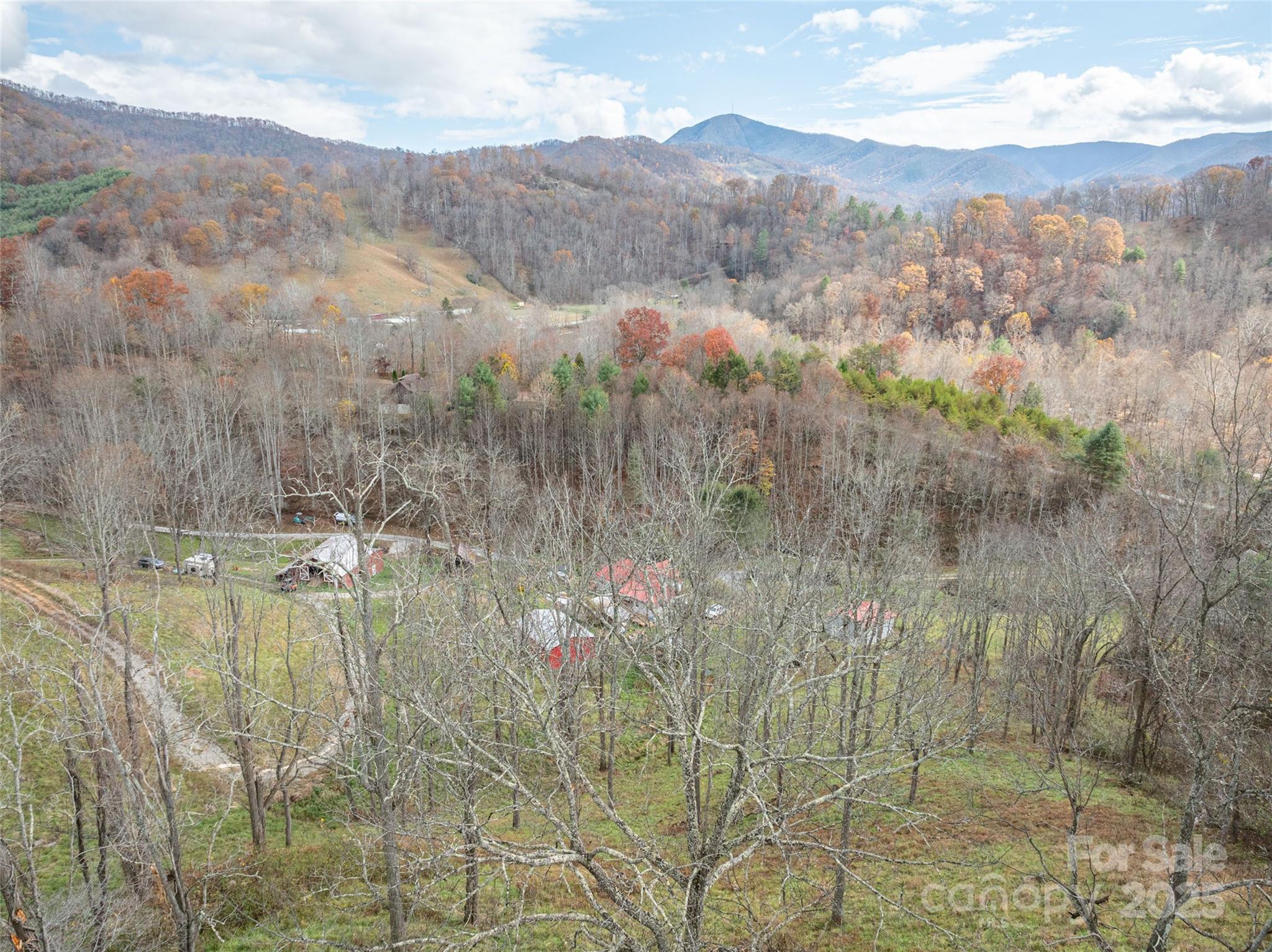 31 Black Branch Road Canton, NC 28716 - Photo 45 of 48 Gallery Image 45