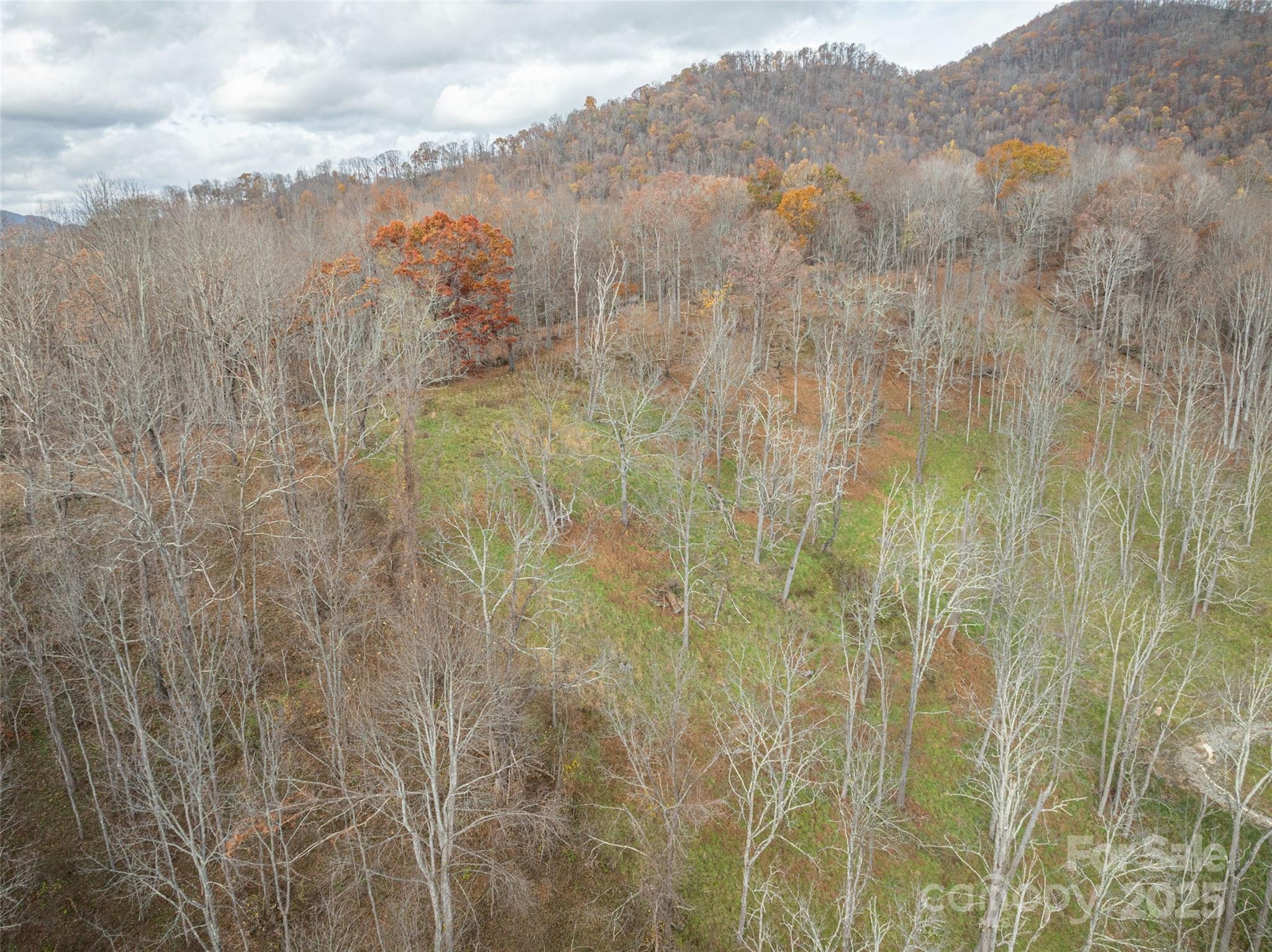 31 Black Branch Road Canton, NC 28716 - Photo 46 of 48 Gallery Image 46