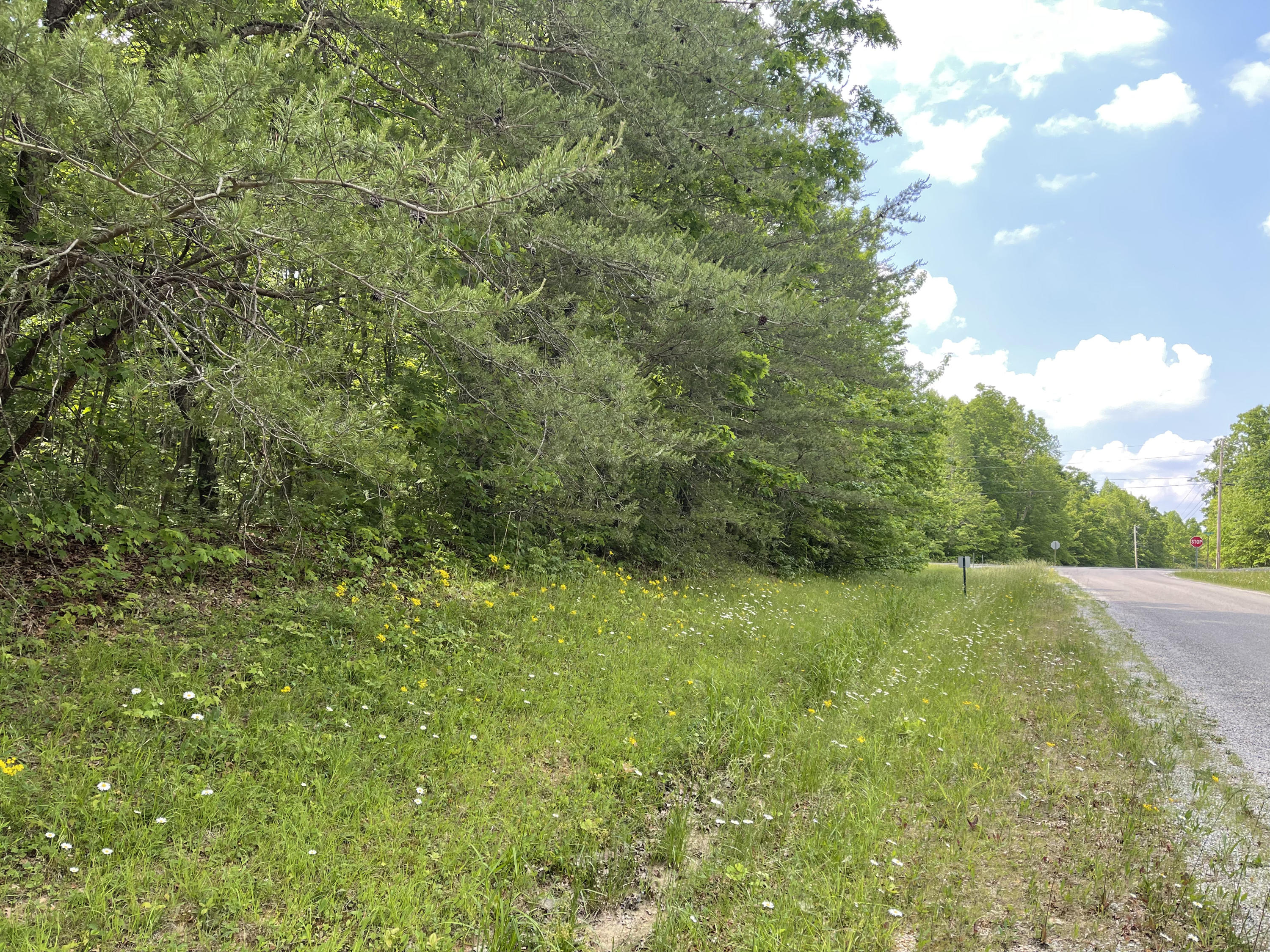 T Road, Unit 4 Monterey, TN 38574 - Photo 3 of 3 4C64A234-27C4-44B8-B790-6D67E12C48E2