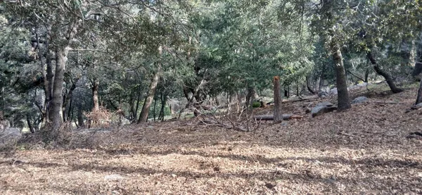 $30,000 | 0 Alder Creek Road, Cedarpines Park, CA 92322