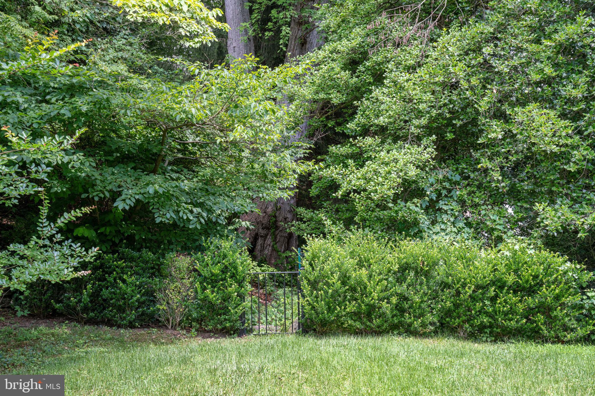 31 Righters Mill Road Gladwyne, PA 19035 - Photo 106 of 106