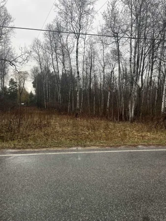 $60,000 | 0 North Michigan Avenue, Manton, MI 49663