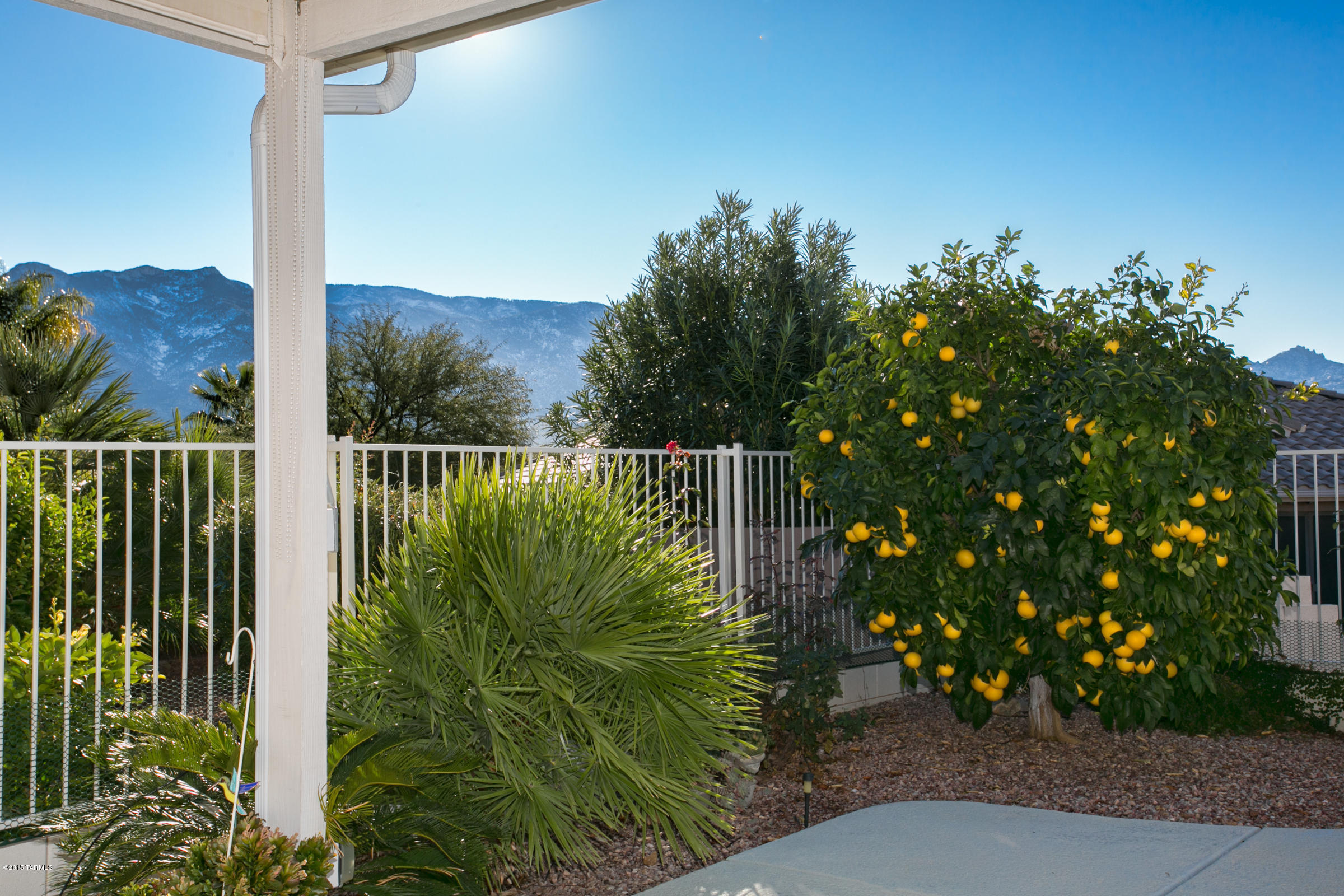 62419 East Northwood Road Tucson, AZ 85739 - Photo 11 of 30 a view of a garden