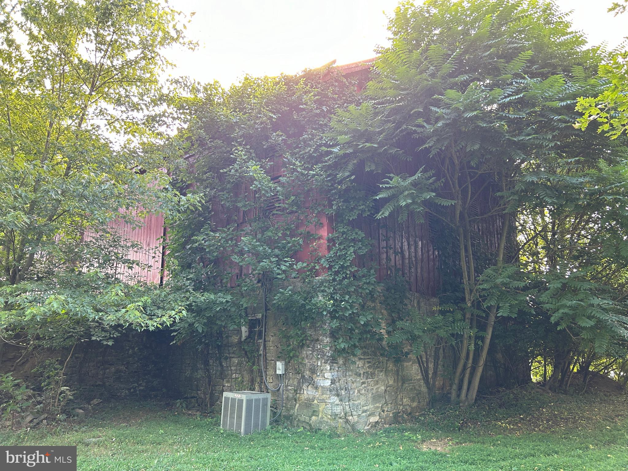 8826 Old Willowbrook Road Frederick, MD 21702 - Photo 12 of 14 a backyard of a house with lots of green space and plants