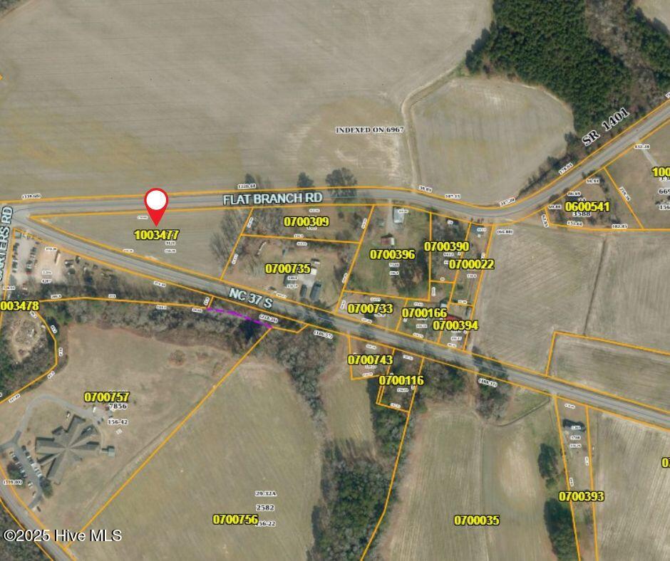 Tbd Flat Branch Road Gatesville, NC 27938 - Photo 1 of 3 Untitled design (2)